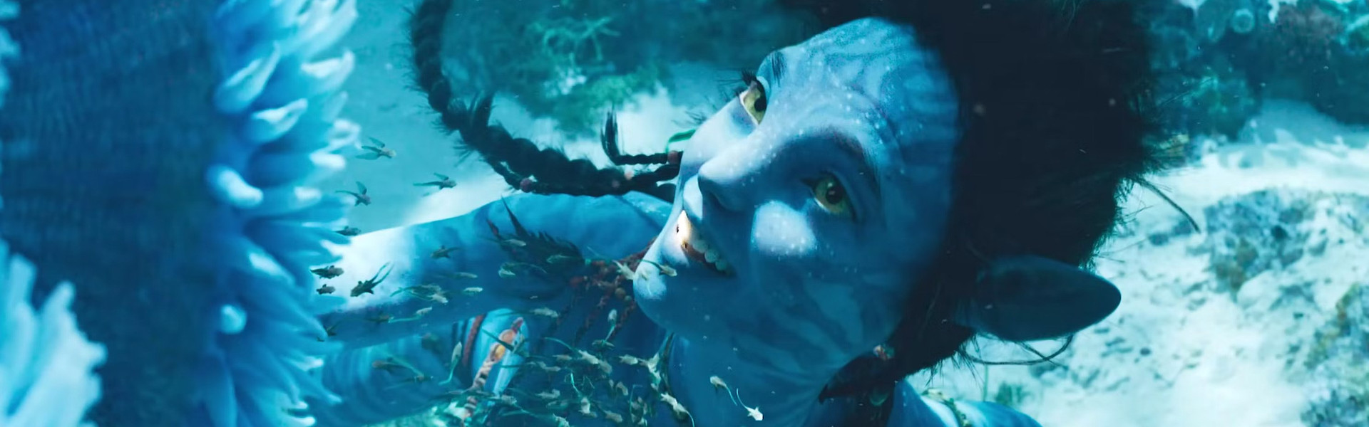 Avatar: Istota wody <span>(dubbing)</span>