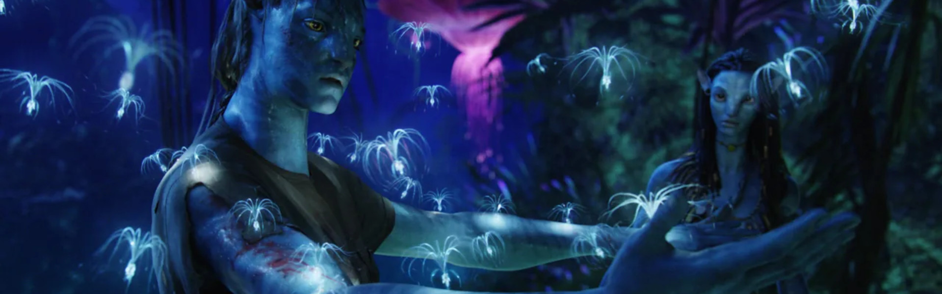 Avatar: Istota wody <span>(napisy)</span>